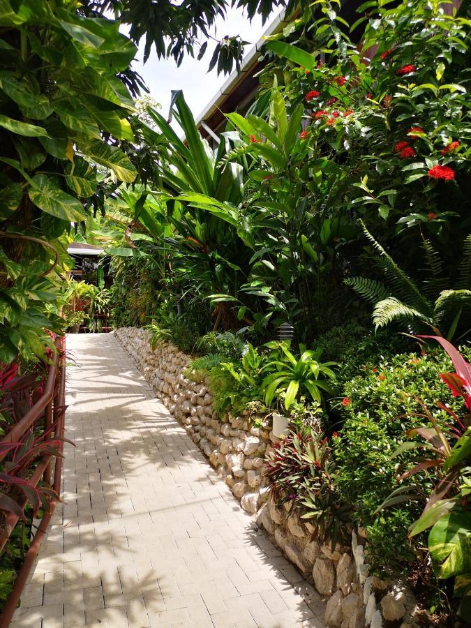 Belvedere Playa Costa Rica Hotel 3*