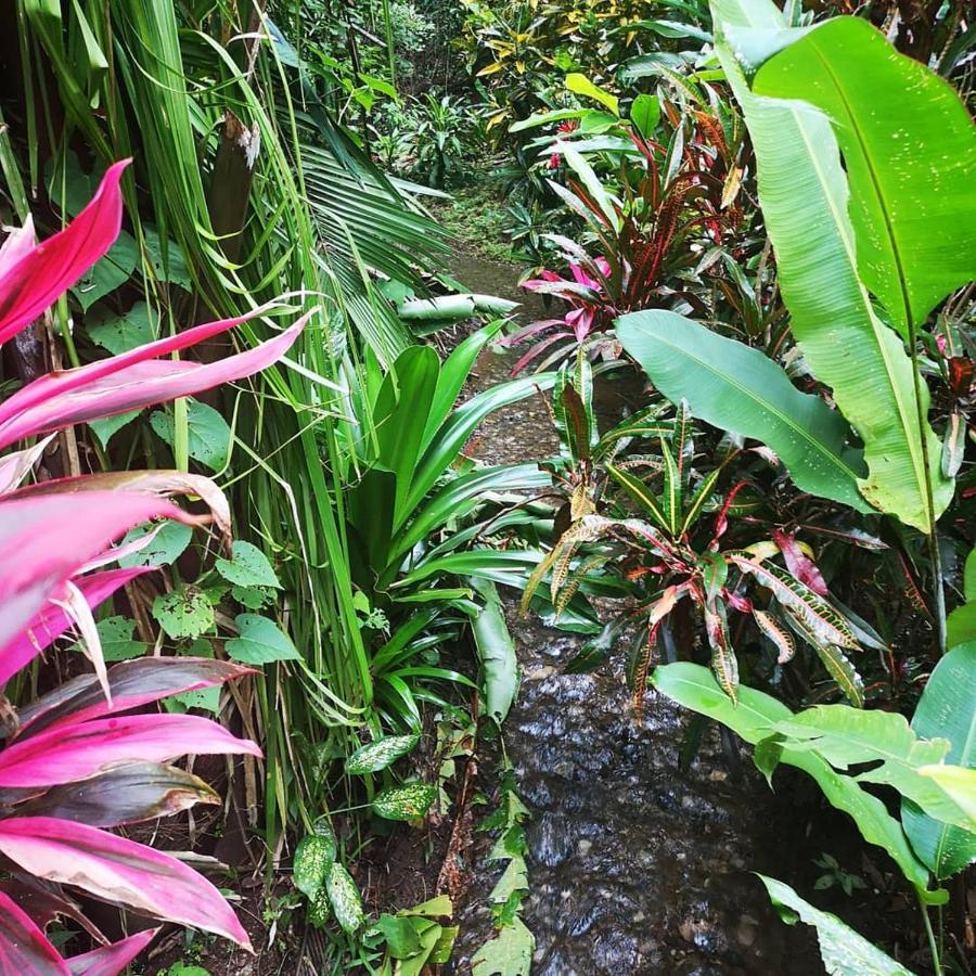 Belvedere Playa Costa Rica Hotel Samara