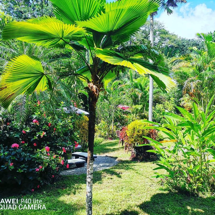 Belvedere Playa Costa Rica 3*