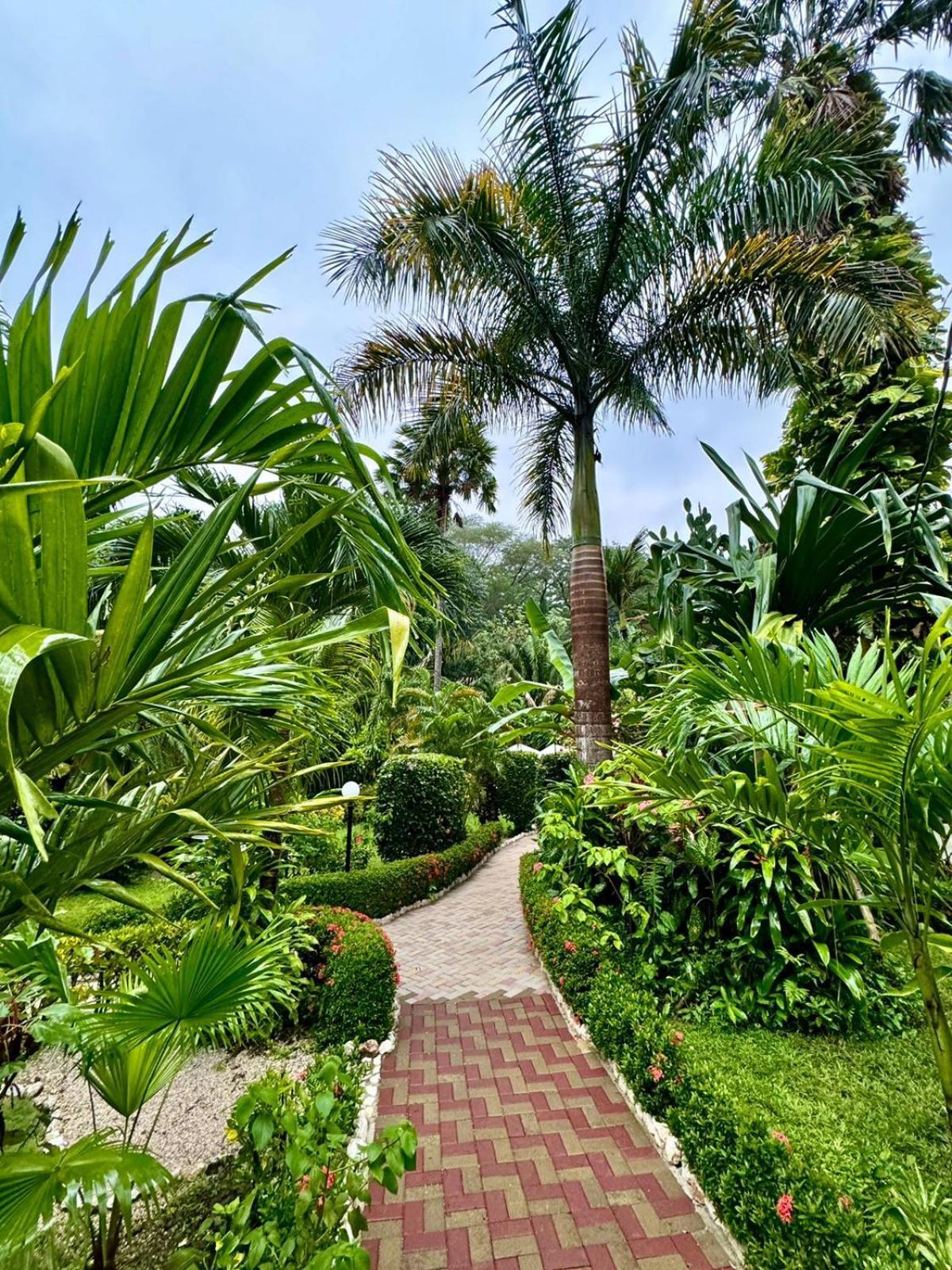 Belvedere Playa Costa Rica Hotel Samara